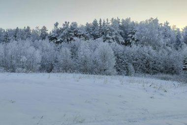 snow, winter, christmas, december, nature, landscape, Outdoors, cold, xmas, Scenery, trees